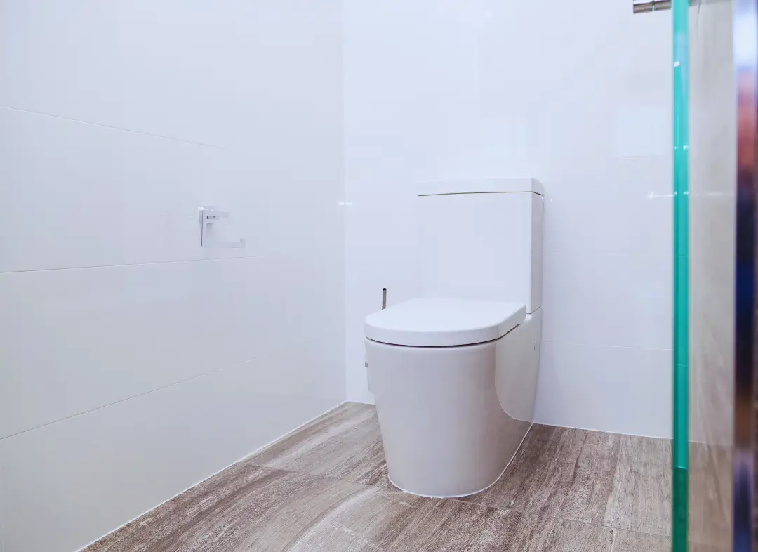 Remplacement de wc Castelmaurou